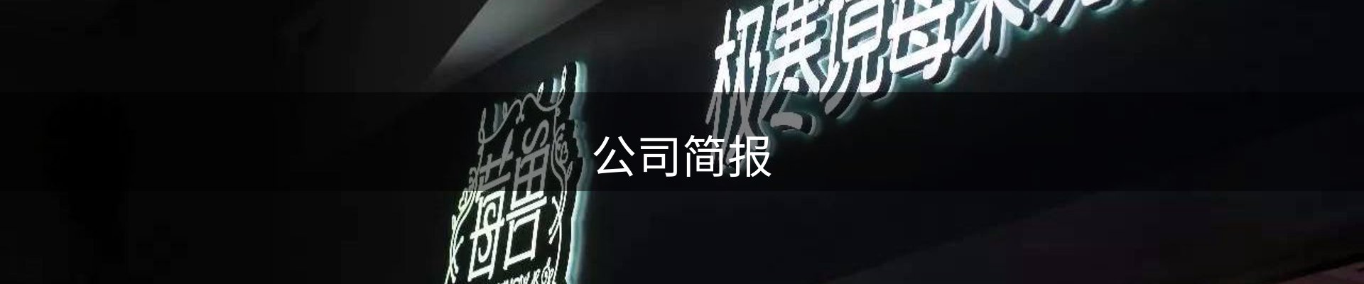 公司简报